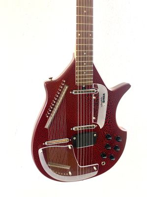 Jerry Jones Electric Sitar