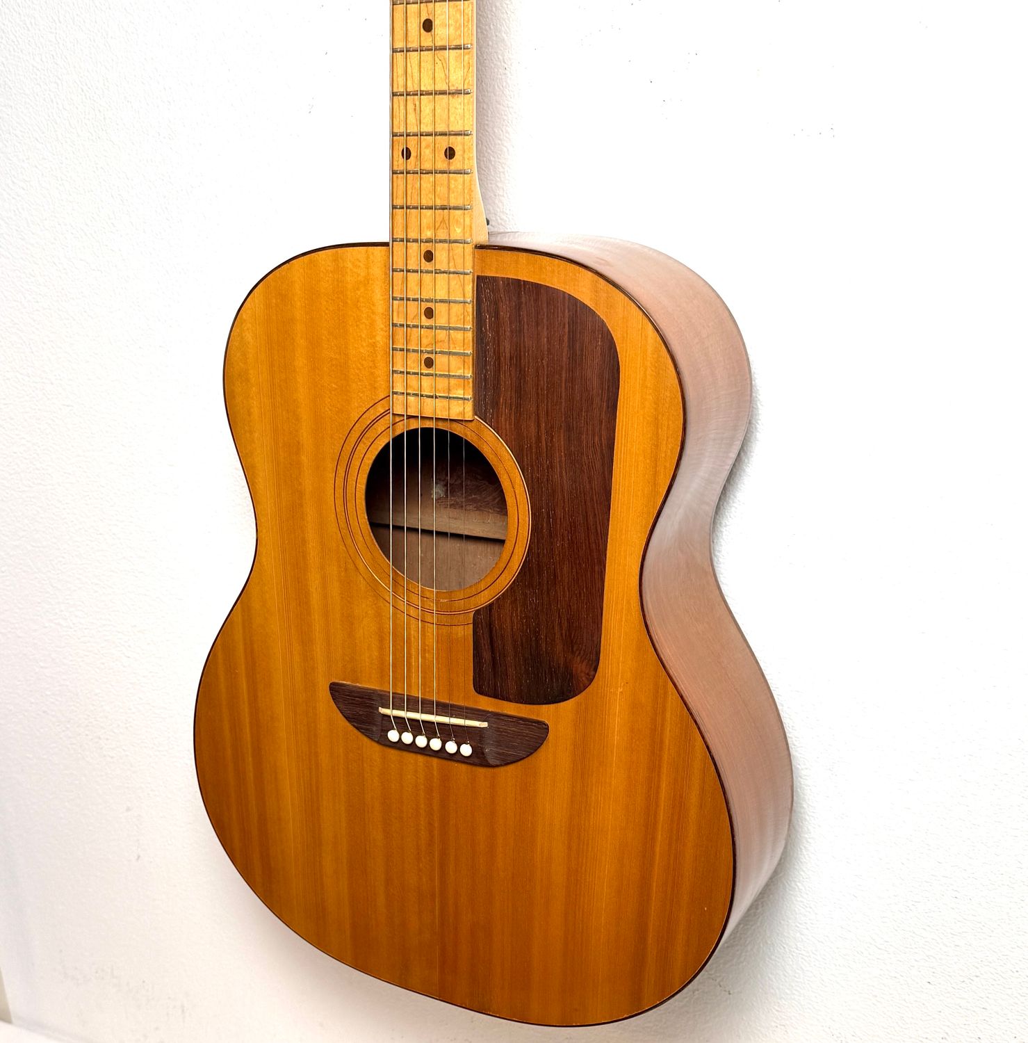 1970&#39;s Ernie Ball Earthwood Acoustic Guitar