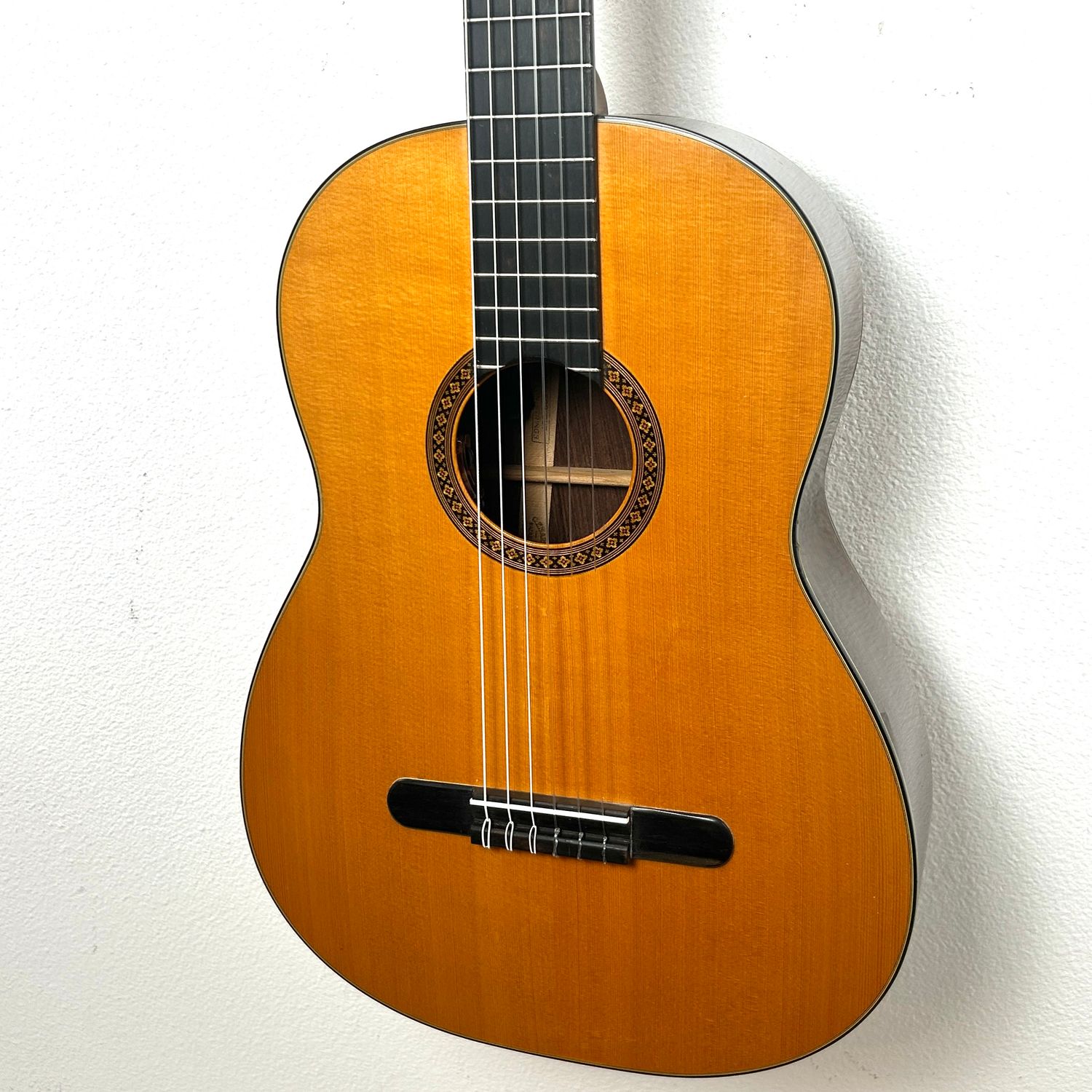 1985 Martin N-20 GRG Custom