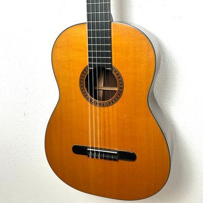 1985 Martin N-20 GRG Custom
