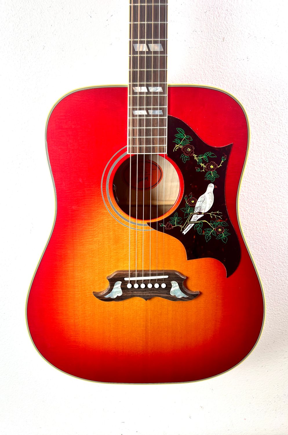 2024 Gibson Dove
