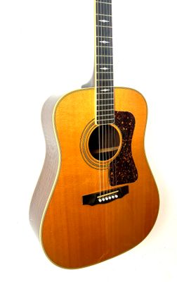 1988 Guild D-60 NT
