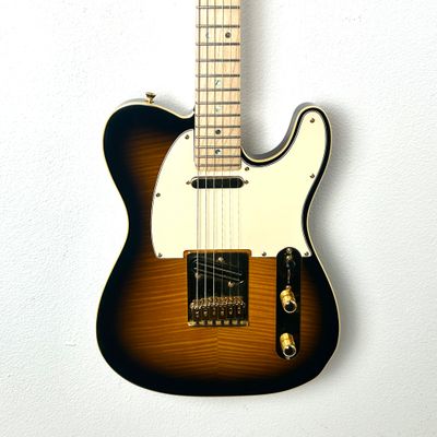 2014 Fender MIJ Richie Kotzen Telecaster
