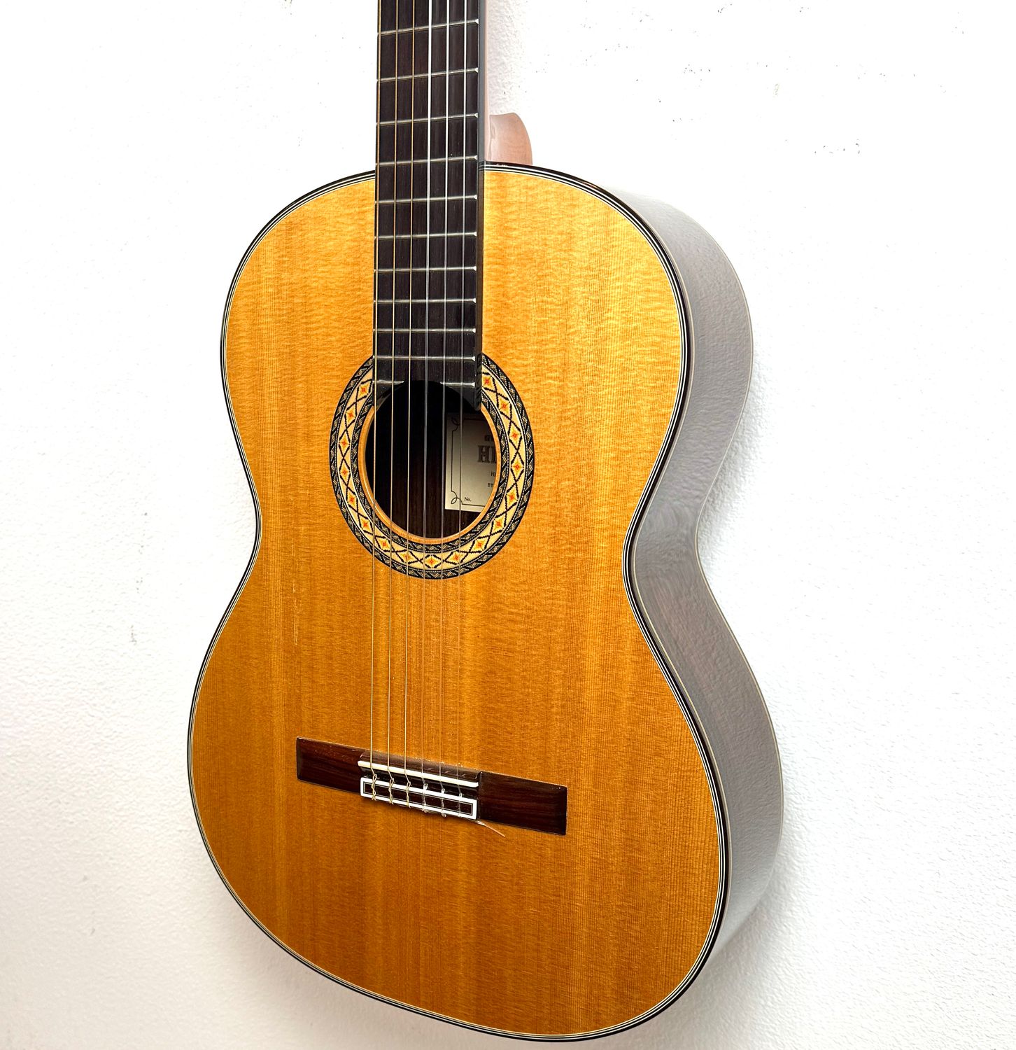 Takamine H8SS Hirade Nylon String