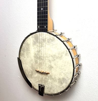 1991 Bart Reiter Special 5 String Banjo