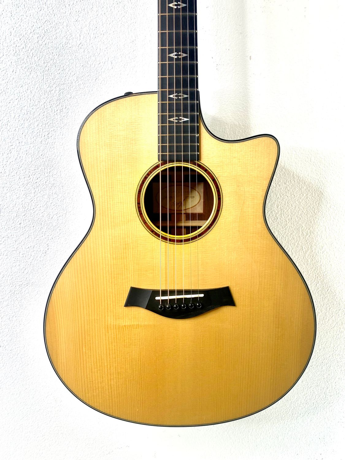 2012 Taylor "BTO" Custom GS Cocobolo/ Adirondack 2012 Taylor "BTO" Custom GS Cocobolo/ Adirondack