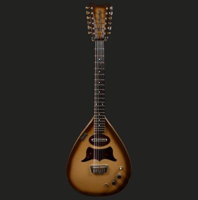 1960's Danelectro 7010 Bellzouki 12 string