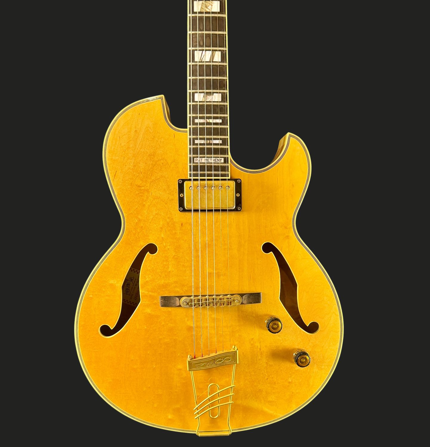 1996 banez PM-100 Pat Metheny