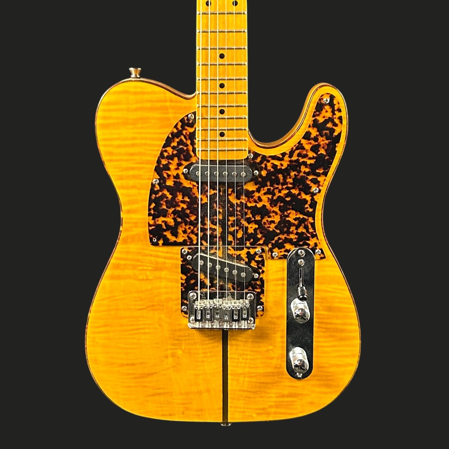 H.S Anderson Madcat Copy Telecaster
