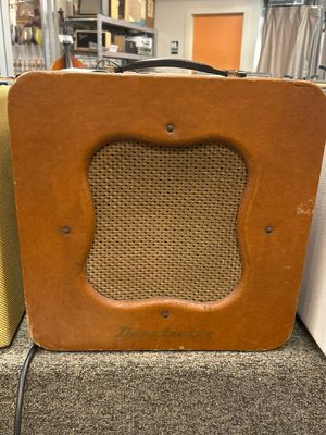 Danelectro Special