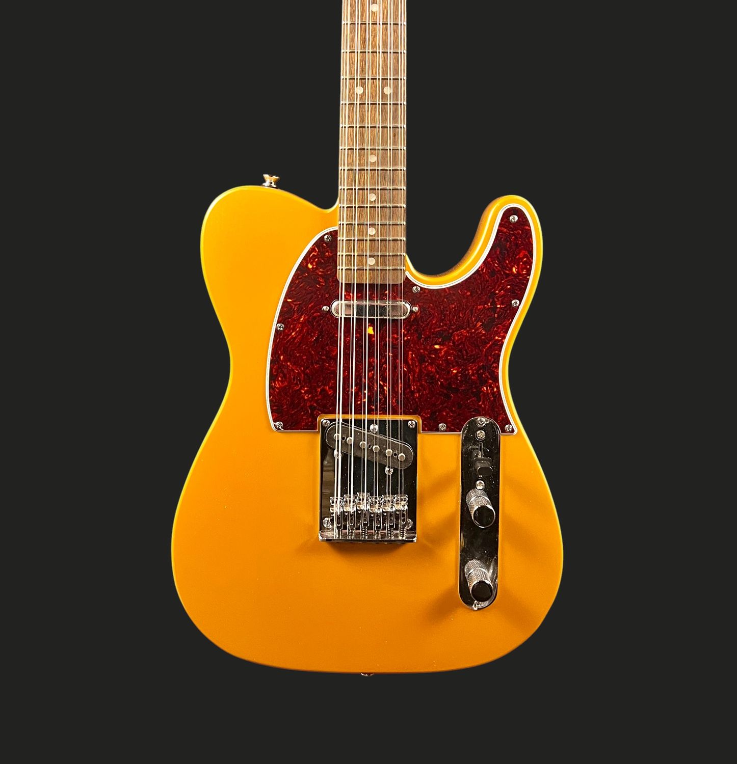New Squire Paranormal Troy Van Leeuwen 12 String Telecaster