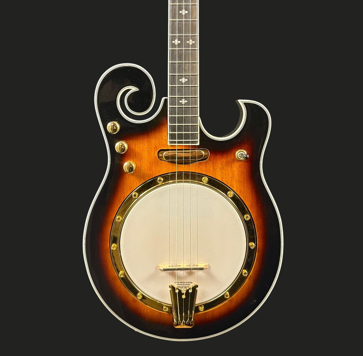 Gold Tone EBM-5 F-Style 5 string Electric Banjo Gold Tone EBM-5 F-Style 5 string Electric Banjo