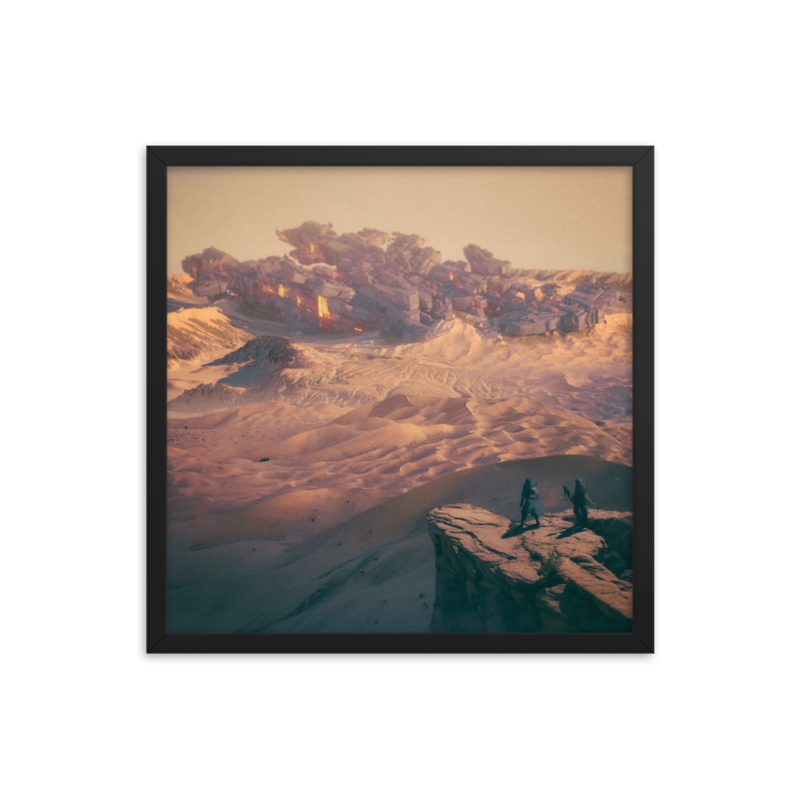 TX FRAMED POSTER