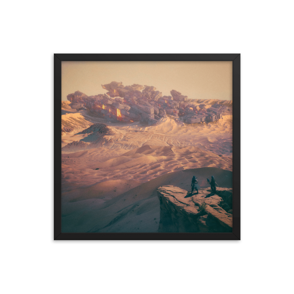 TX FRAMED POSTER