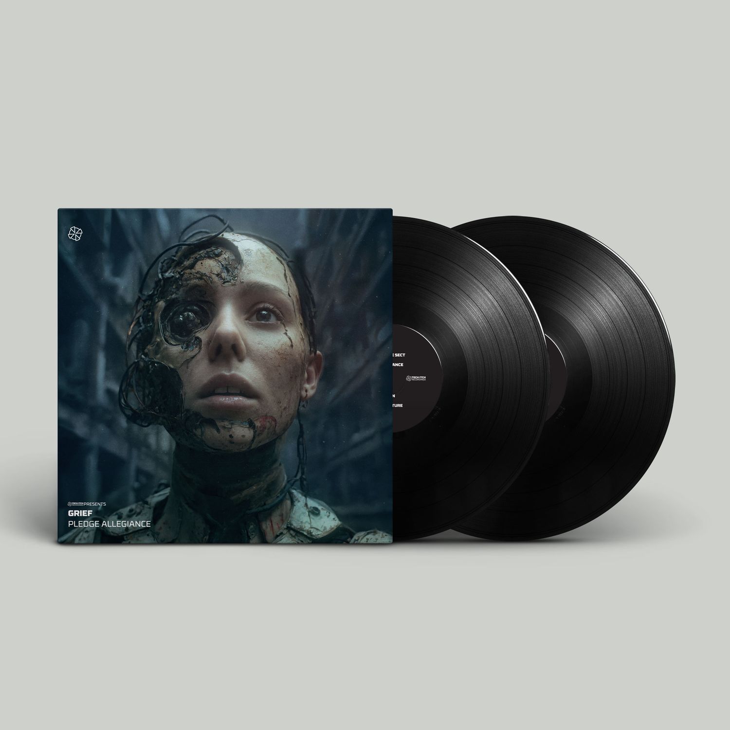 PLEDGE ALLEGIANCE, Format: 2x12&quot; Standard
