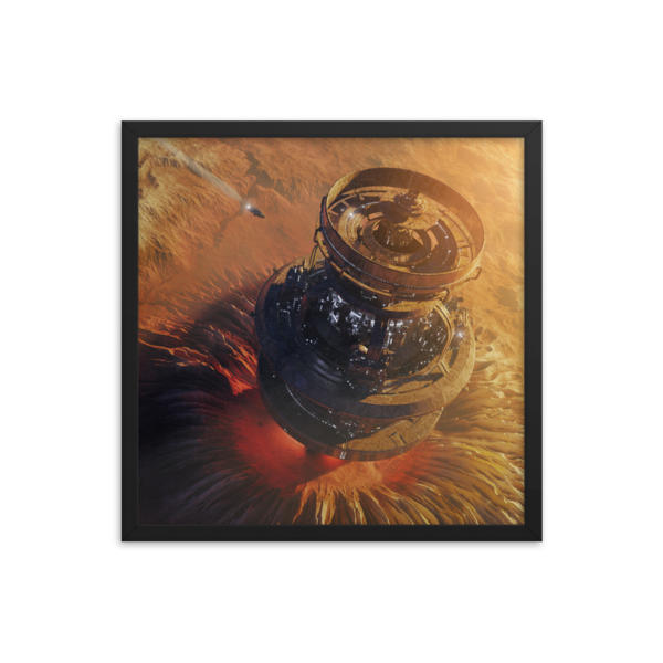 IRIS FRAMED POSTER