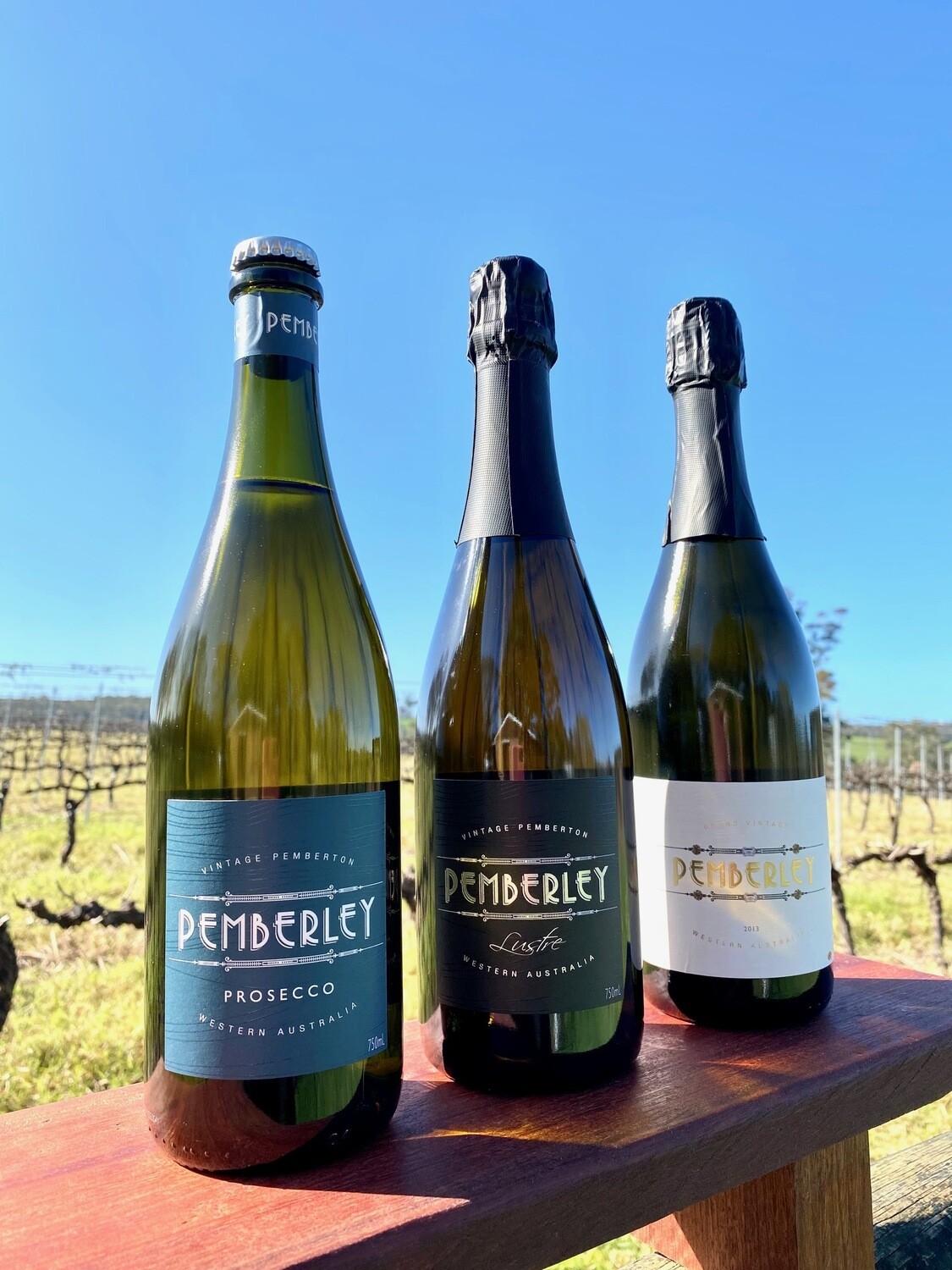 Bubbles Lovers Mixed Case (Case of 6)