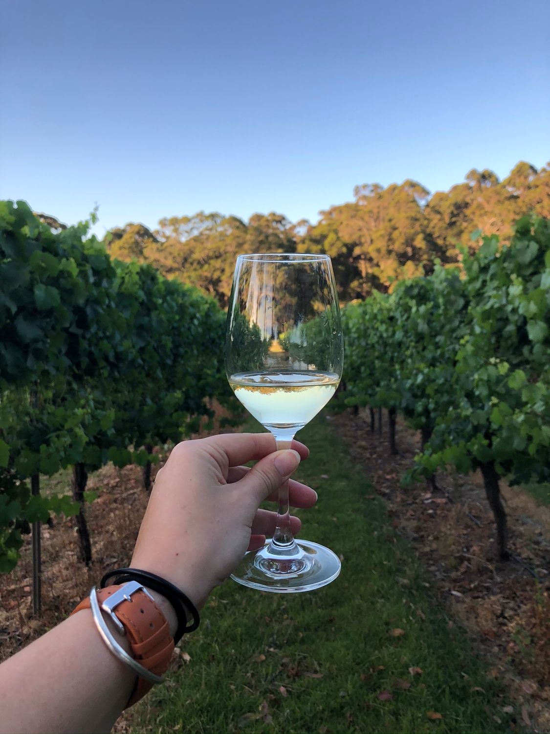 2024 Pemberley Off-Dry Riesling