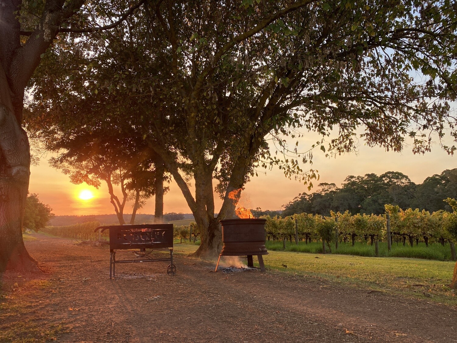 Event Shuttle Ticket - Pass the Pinot 2027