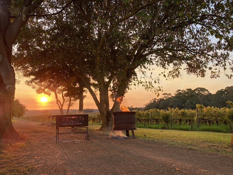 Event Shuttle Ticket - Pass the Pinot 2027