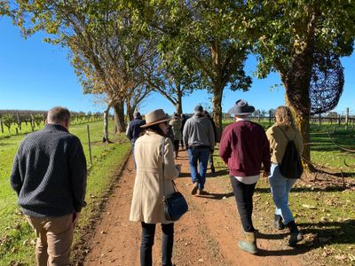 Private Tour of Sculpture in the Vines