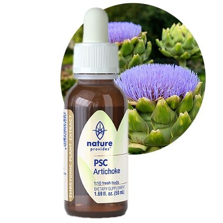 Nature Provides | Plant Stem Cell Complex | Artichoke (Cynara scolymus)