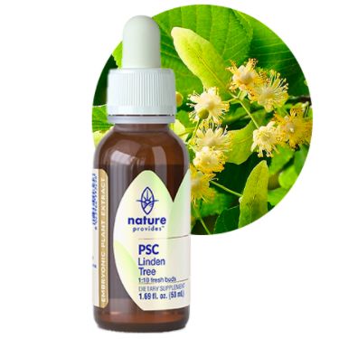 Nature Provides Plant Stem Cell Linden Tree