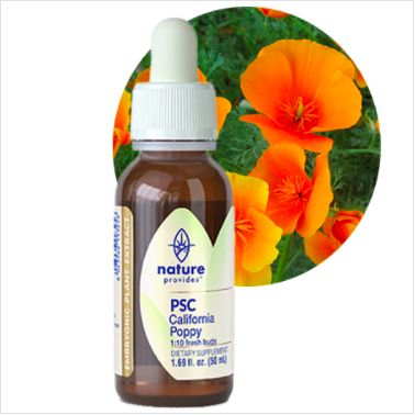 Nature Provides Plant Stem Cell California Poppy