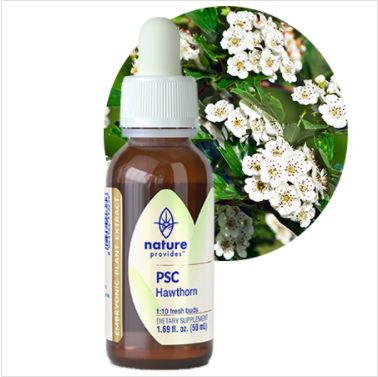 Nature Provides Plant Stem Cells Hawthorn