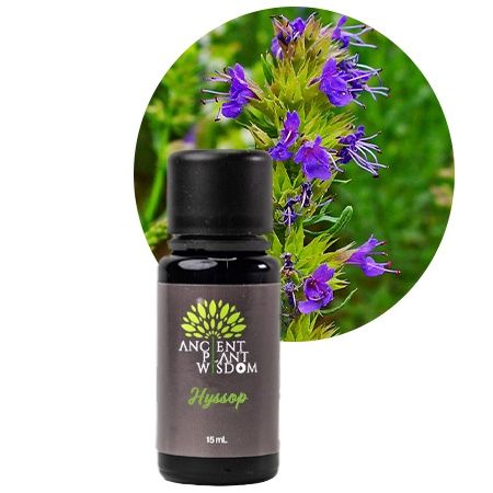 Nature Provides Essential Oil Hyssop