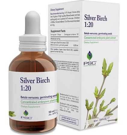 Nature Provides Plant Stem Cell Silver Birch