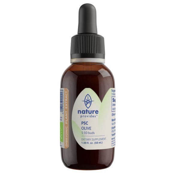 Nature Provides Plant Stem Cell Olive