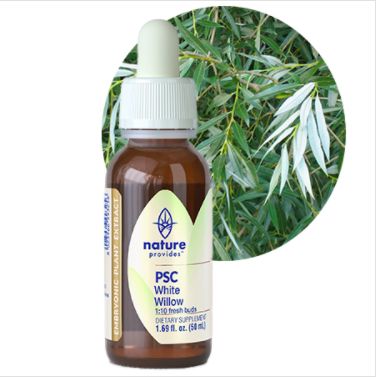 Nature Provides Plant Stem Cell White Willow
