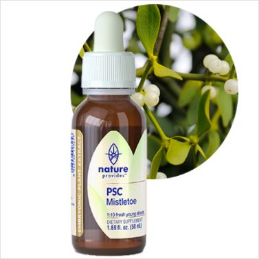 Nature Provides Plant Stem Cell Mistletoe