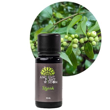 Nature Provides Essential Oils Myrrh