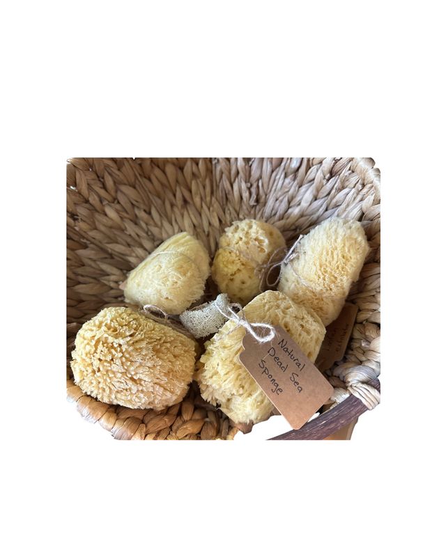 Natural Dead Sea Sponge