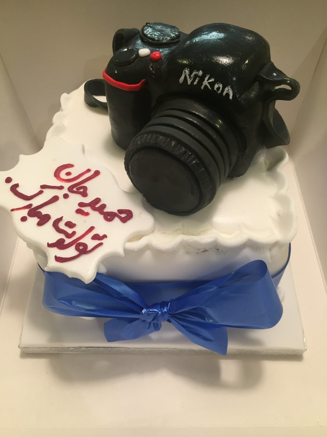 Nikon Camera Figure