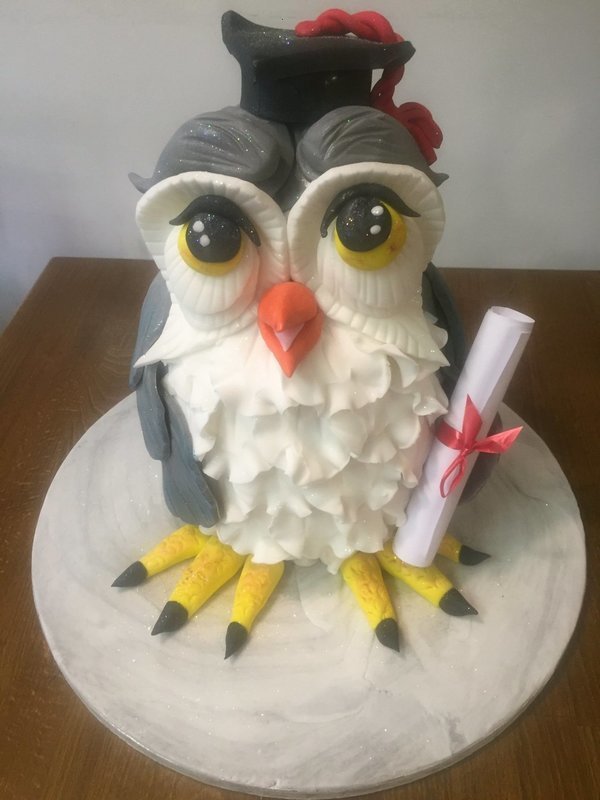Graduation Owl Cake Graduation Owl Cake