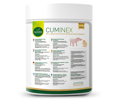 CUMINEX (0.8 kg)