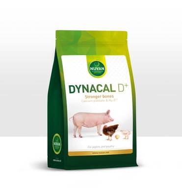 DYNACAL D+ (1.6 kg)
