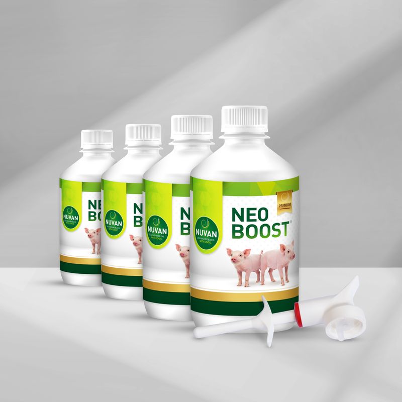 NEOBOOST® (4 flesjes &amp; 1 pompje)
