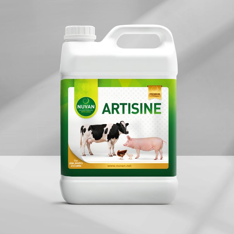 ARTISINE (5 liter)