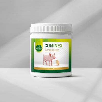CUMINEX - pluimvee