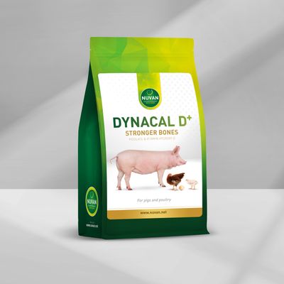 DYNACAL D+ (1.6 kg)