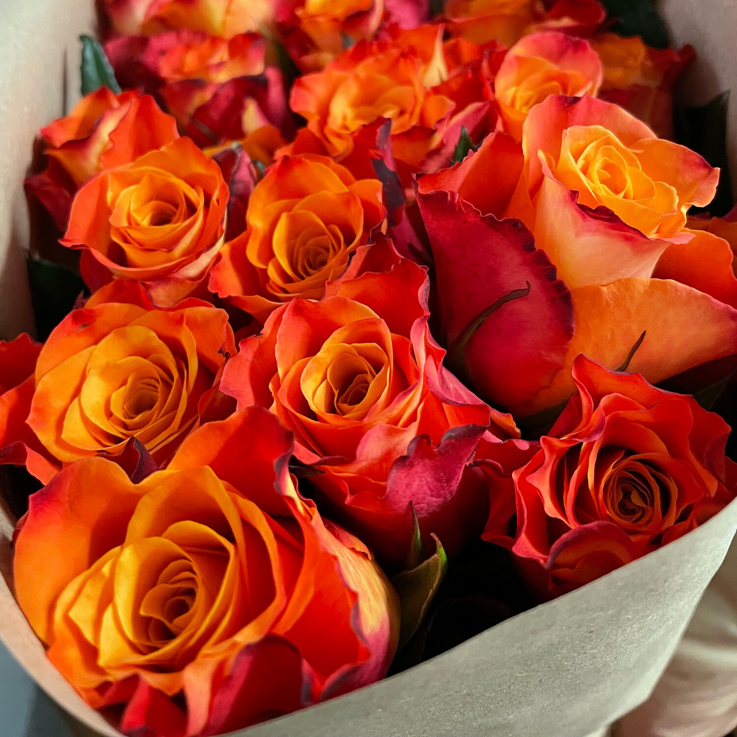 Rosen Mariyo 70cm