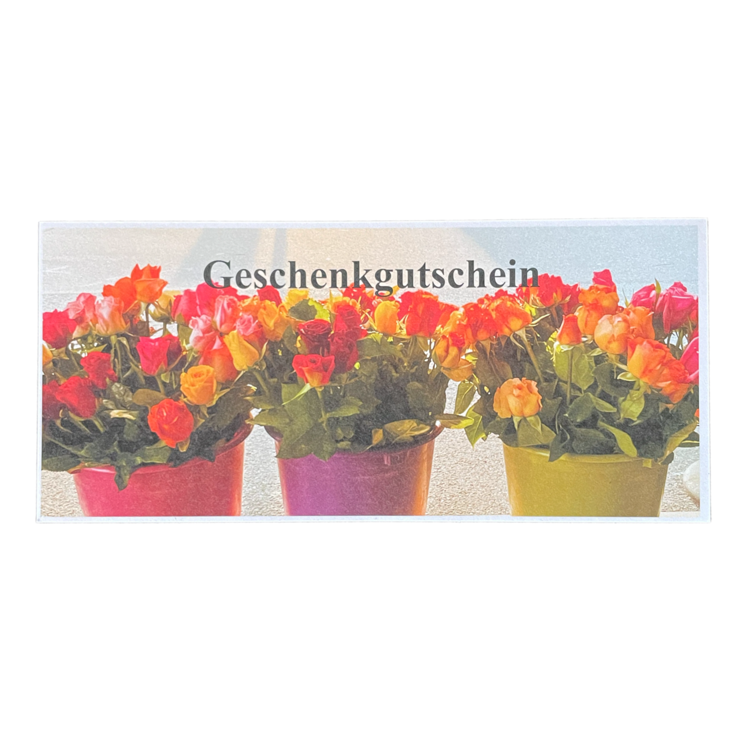 Geschenkgutschein 50.-