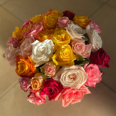 kurzstielige Rosen