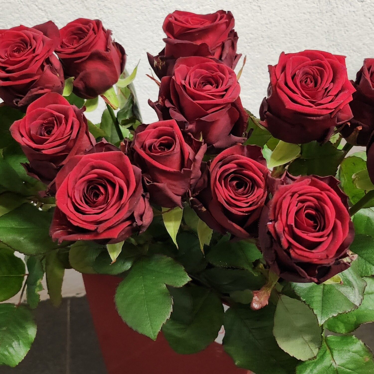 Rosen Red Naomi 70cm - Vorbestellung