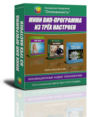 СОЗДАНИЕ ПЕРСОНАЛЬНОГО ВИП НАСТРОЯ ИЗ 3-х НАСТРОЕВ ПО ВАШЕМУ ВЫБОРУ