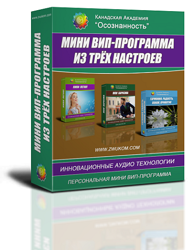 СОЗДАНИЕ ПЕРСОНАЛЬНОГО ВИП НАСТРОЯ ИЗ 3-х НАСТРОЕВ ПО ВАШЕМУ ВЫБОРУ